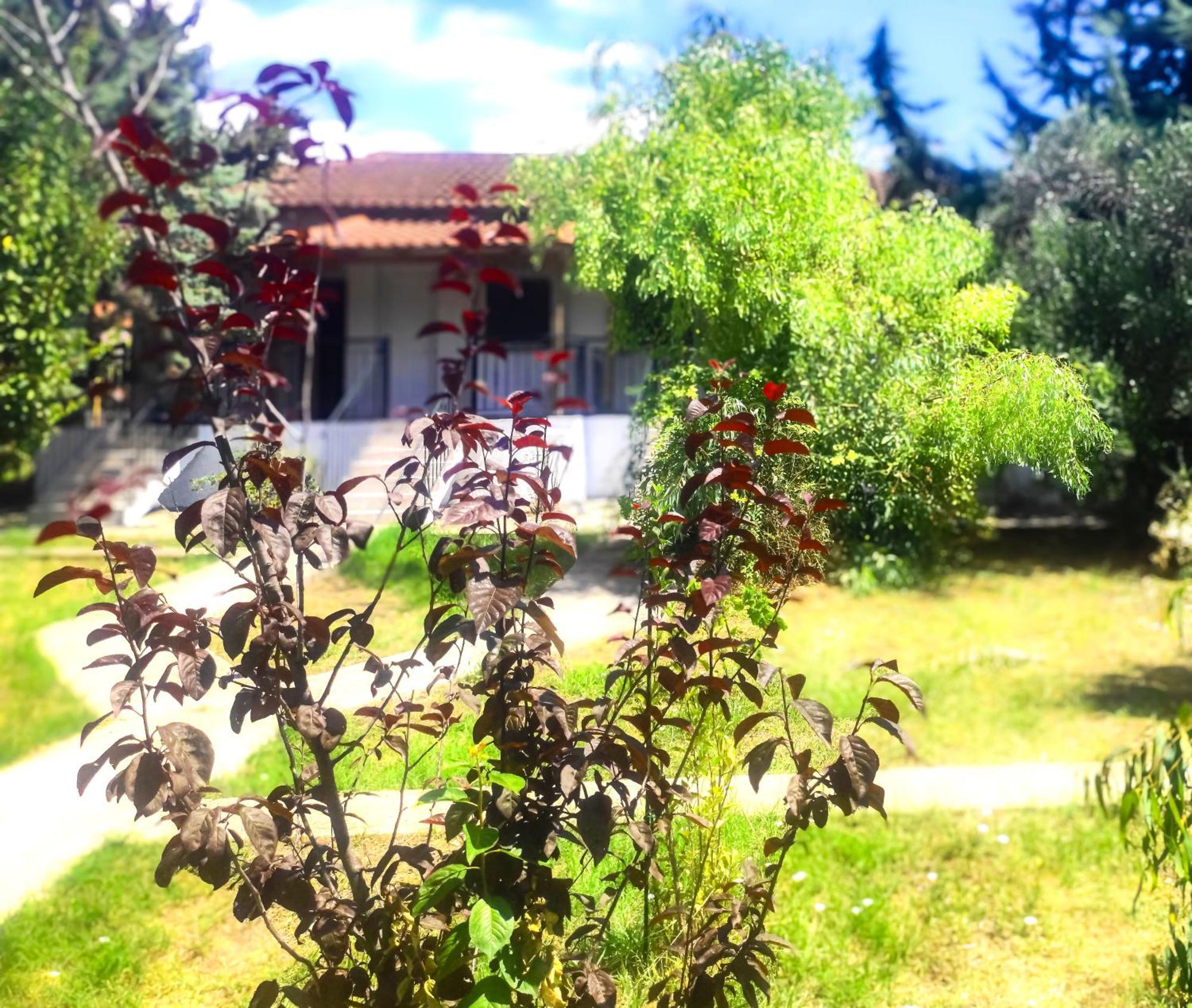 סוזופולי Vergia Studios מראה חיצוני תמונה